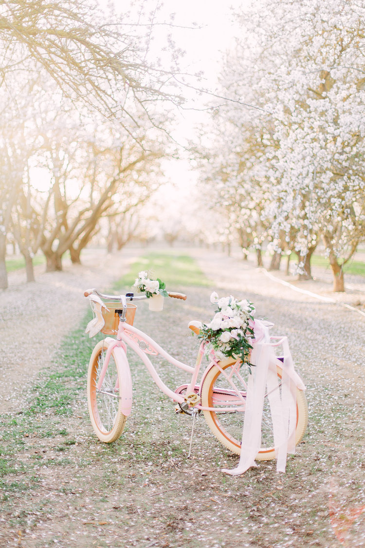 Almond Orchard Wedding Ideas