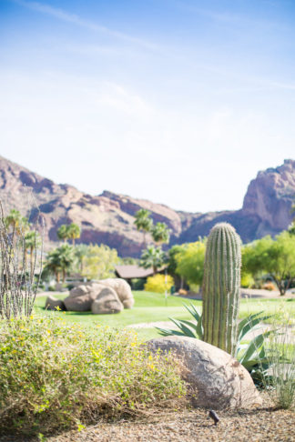 Blush Mint Arizona Wedding with Circular Floral Arch