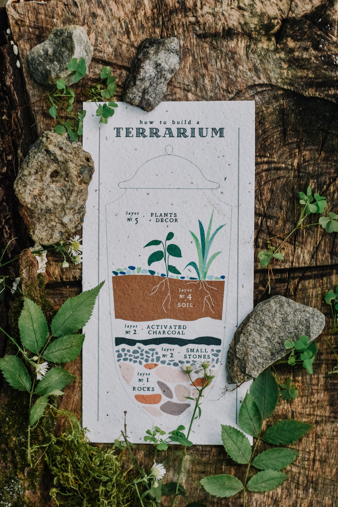 How to make a terrarium.