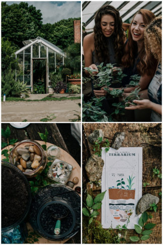 Sustainable vegan greenhouse bachelorette: How to make a terrarium