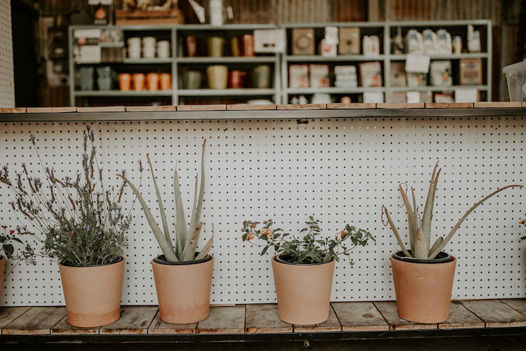 Vegan Taqueria Zero Waste Wedding in LA