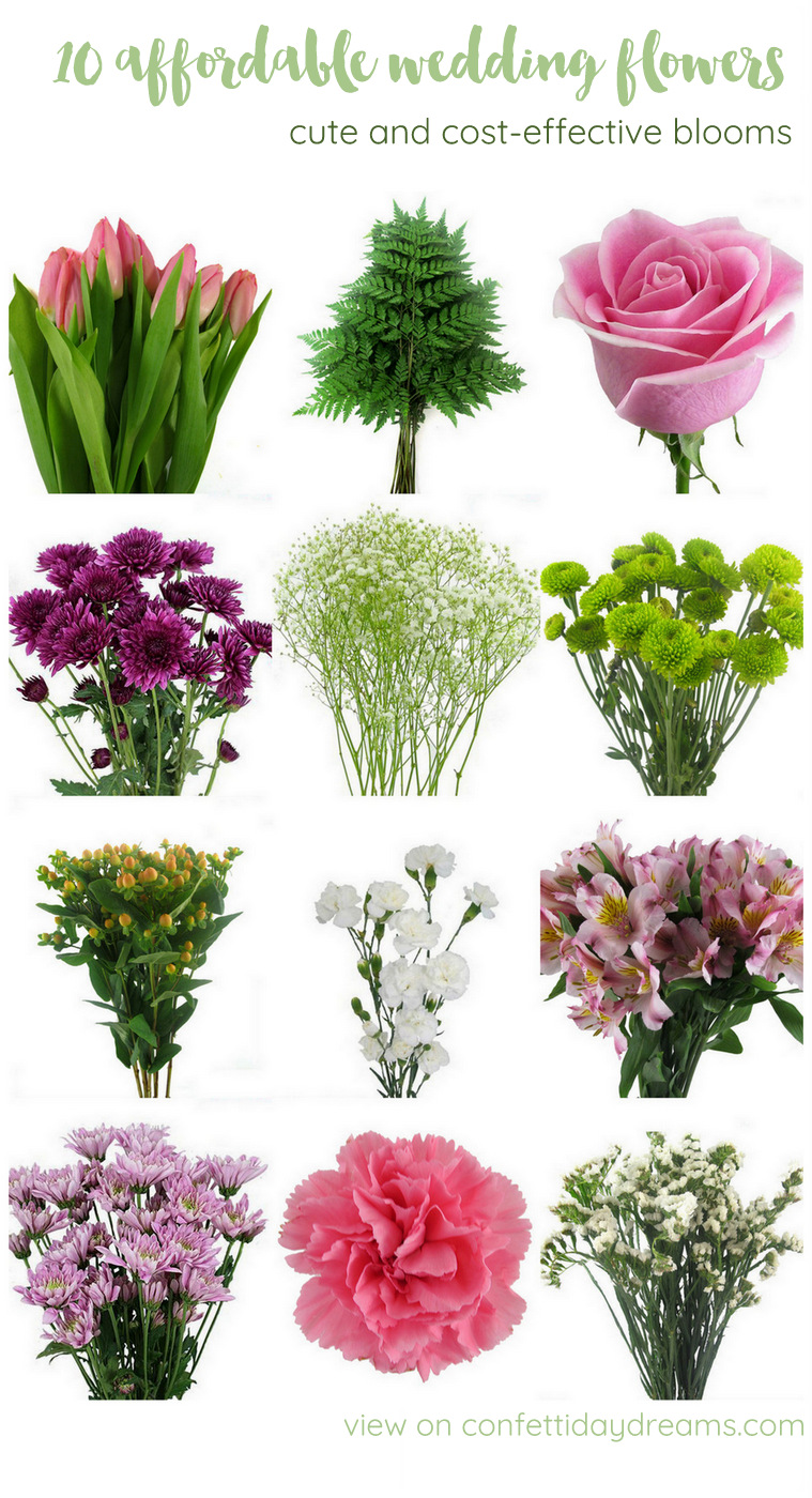 Inexpensive Flowers