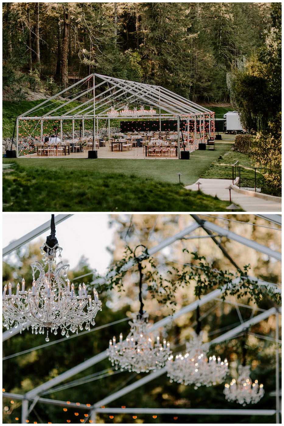 Enchanted Garden Wedding in Modern, Romantic Jewel Tones