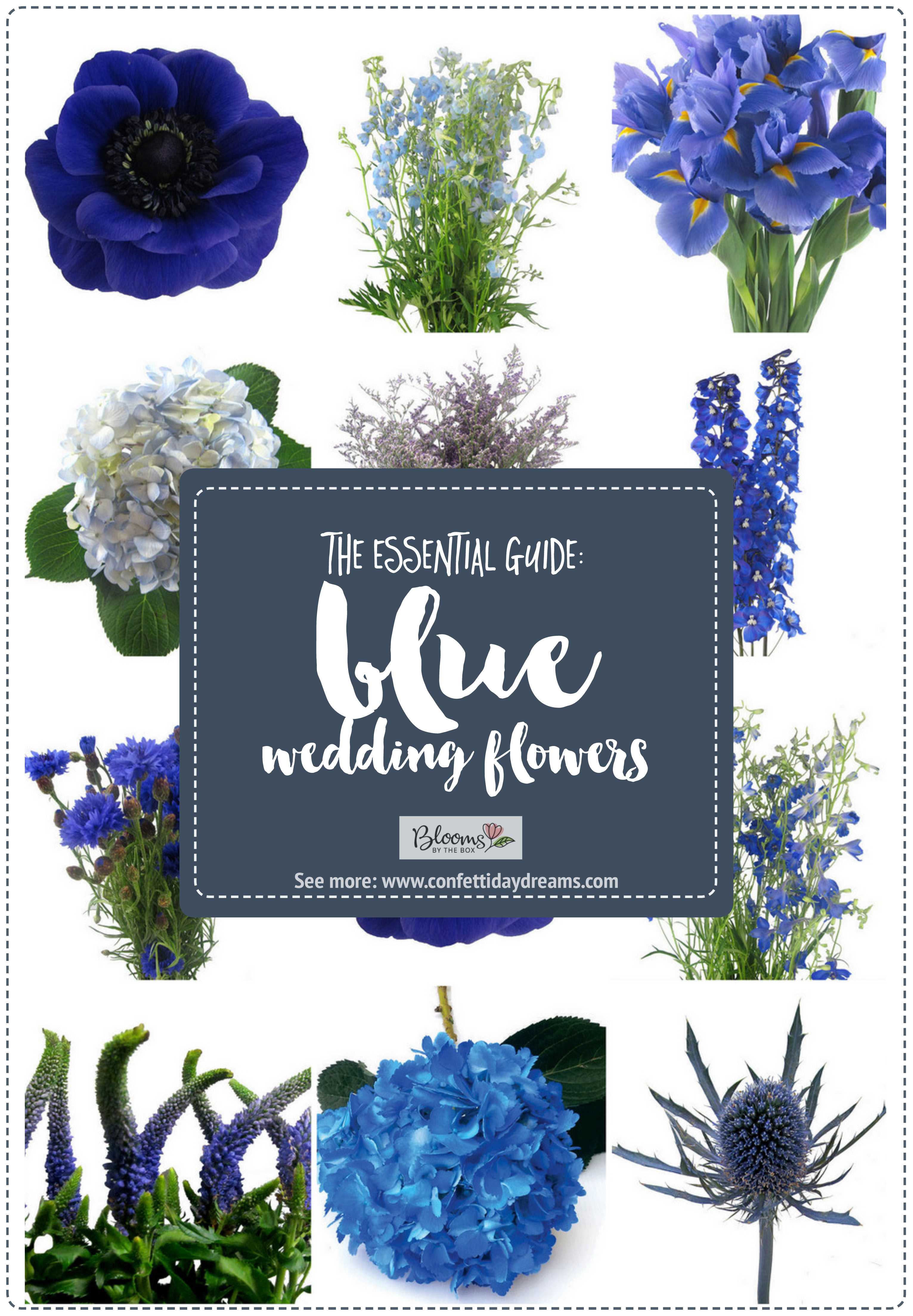Blue wedding flowers names