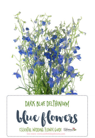 dark blue delphinium - Blue Wedding Flowers