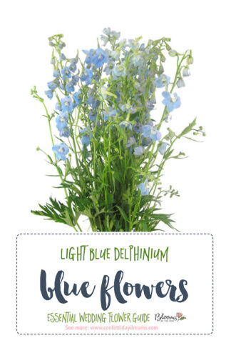 light blue delphinium - Blue Wedding Flowers