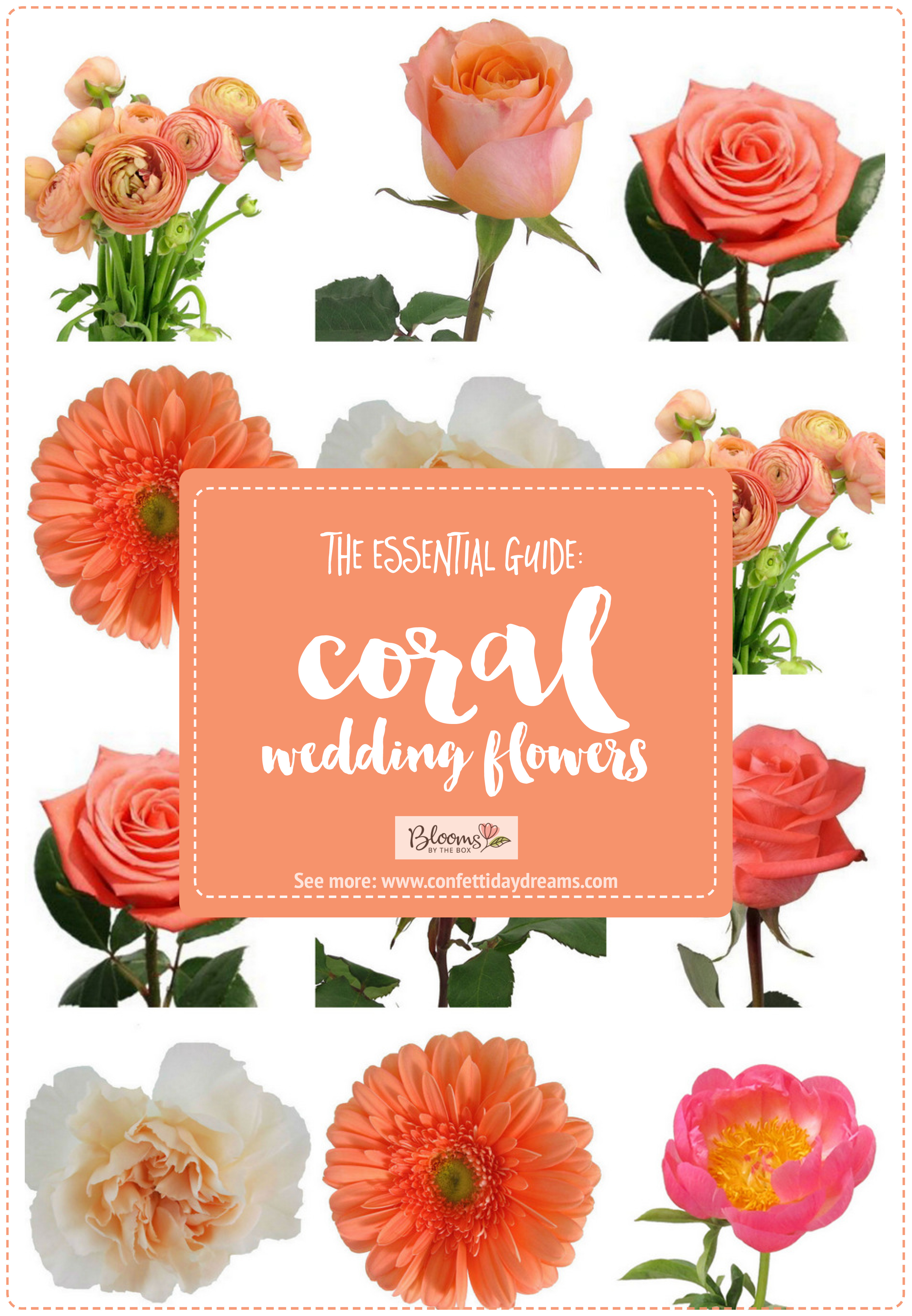 Coral Wedding Flower types