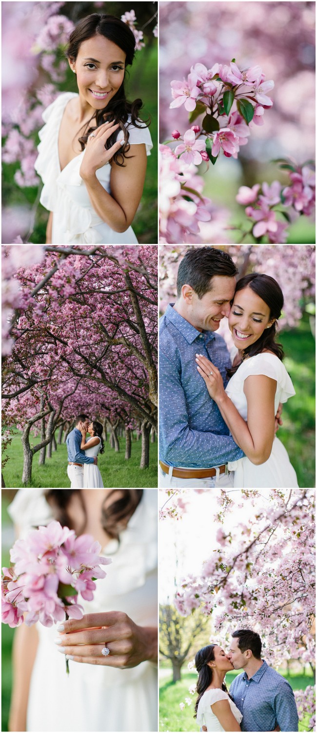Apple Blossom Engagement Photographs in Ottawa. Photography: Grace & Gold Studio