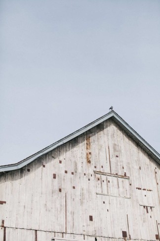 Bohemian Surf Fiesta Beach Wedding - Alexandra Wallace Photography