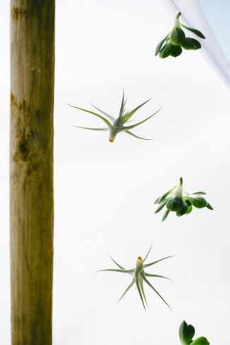 Boho beach wedding decor