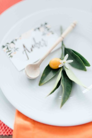 Citrus Wedding Ideas 