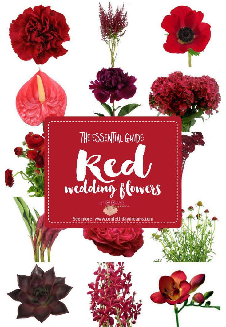 Names and Types of Red Wedding Flowers with Seasons + Pics