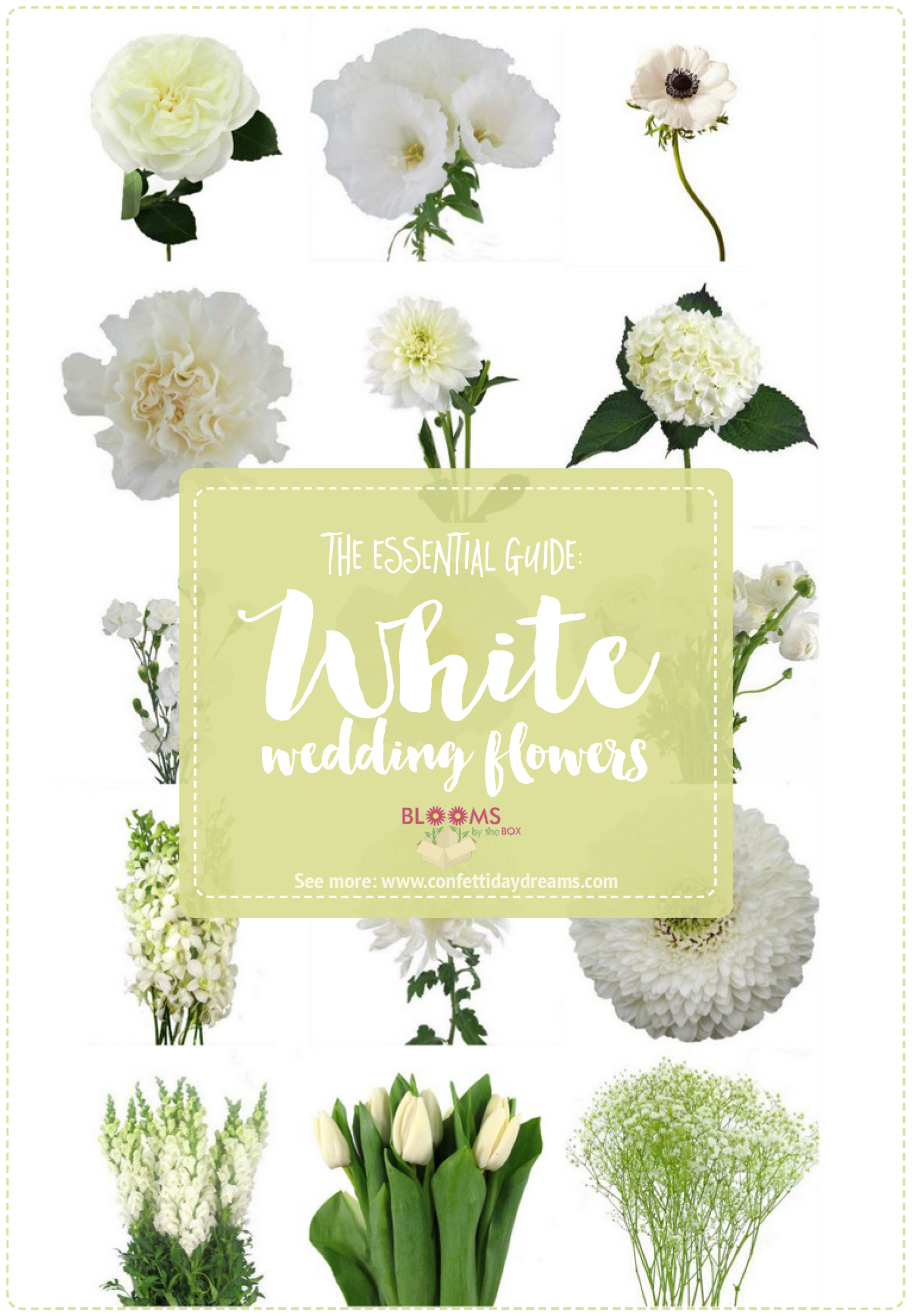 favorite wedding flowers with names