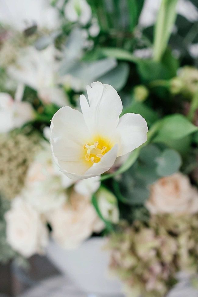 An elegant, atmospheric wedding filled with entertainment! Pics: Debbie Lourens Photography. 