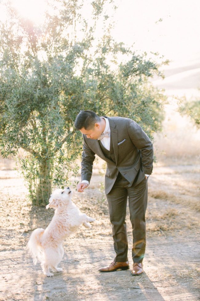 Dreamy, Romantic Golden Hour couple portraits by Retrospect Images