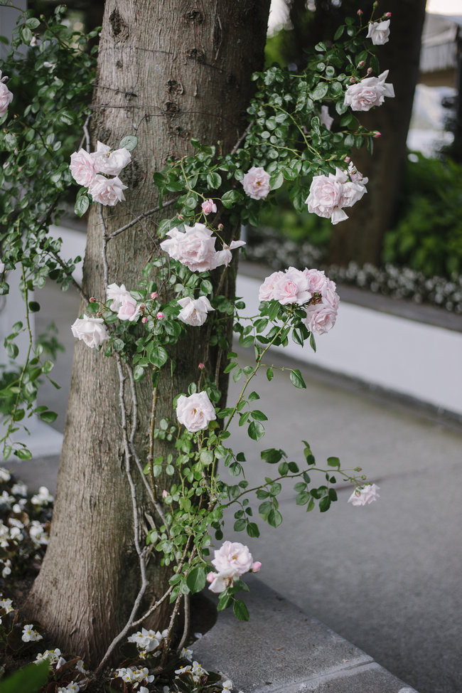 Italy Amalfi Wedding - darinimages photography