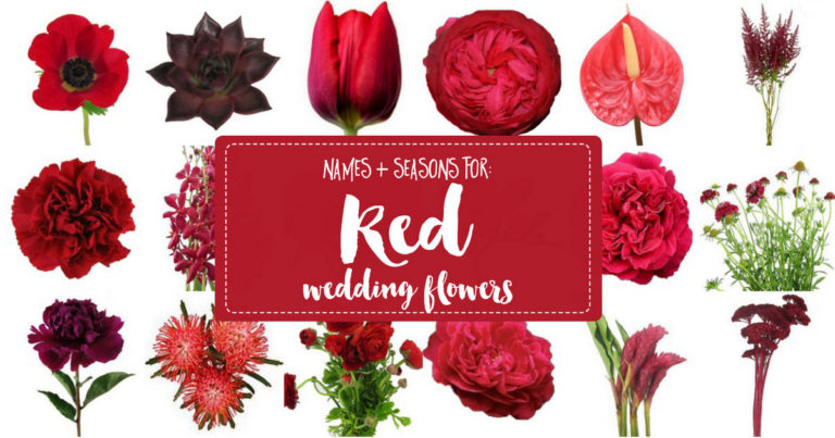 Names and Types of Red Wedding Flowers with Seasons + Pics