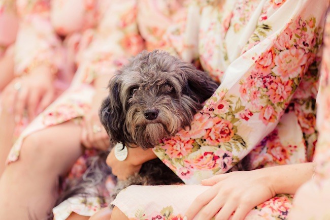 Peach Pink Palos Verdes Wedding - Figlewicz Photography