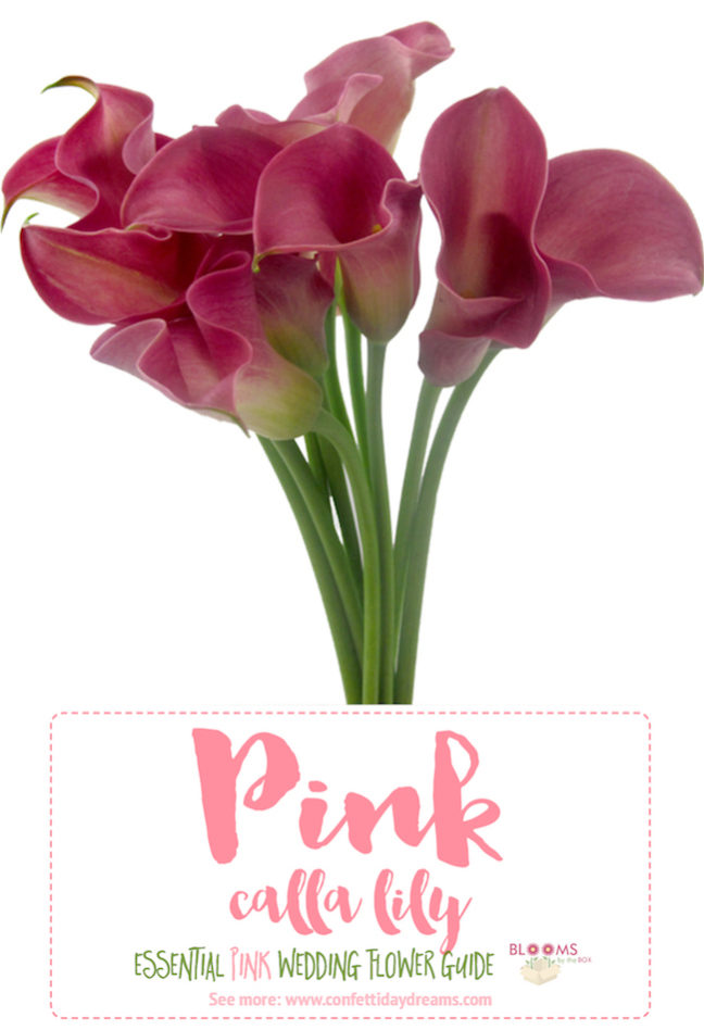 the-essential-pink-wedding-flowers-guide-types-of-pink-flowers-names