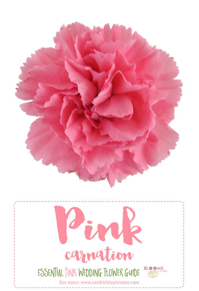 The Essential Pink Wedding Flowers Guide Types of Pink Flowers, Names