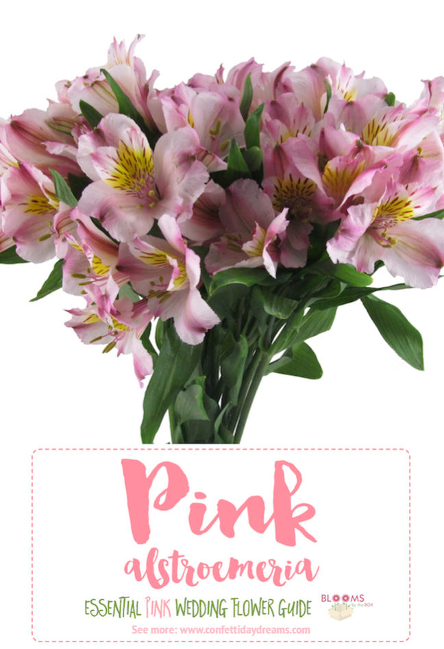 The Essential Pink Wedding Flowers Guide Types of Pink Flowers, Names