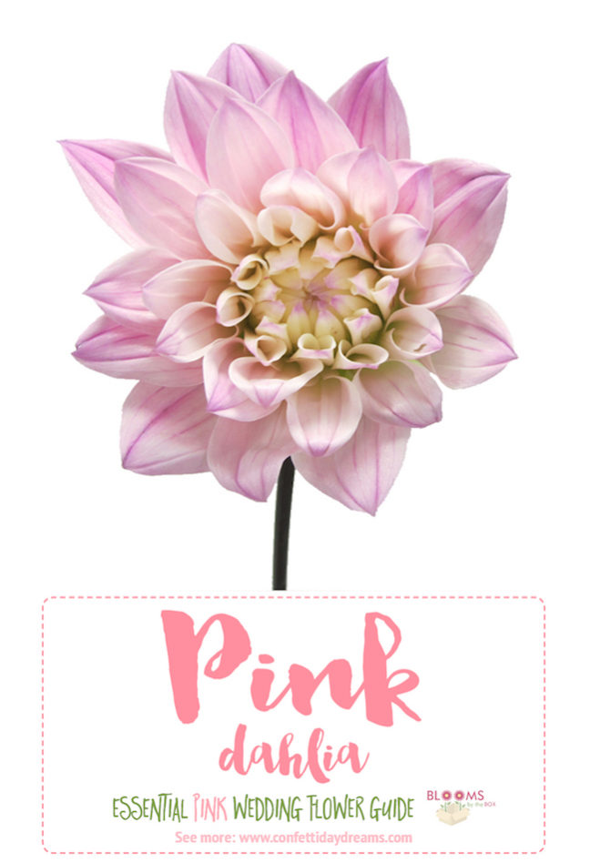 The Essential Pink Wedding Flowers Guide Types of Pink Flowers, Names