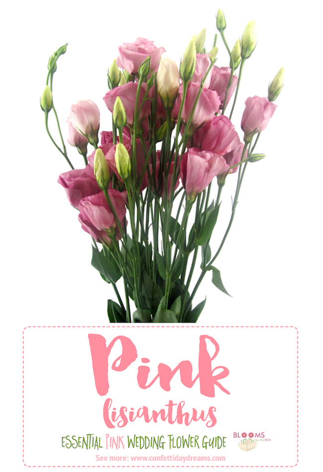 The Essential Pink Wedding Flowers Guide: Types of Pink Flowers, Names ...