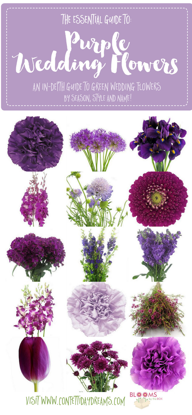 complete guide to purple wedding flowers, purple flower names + pics