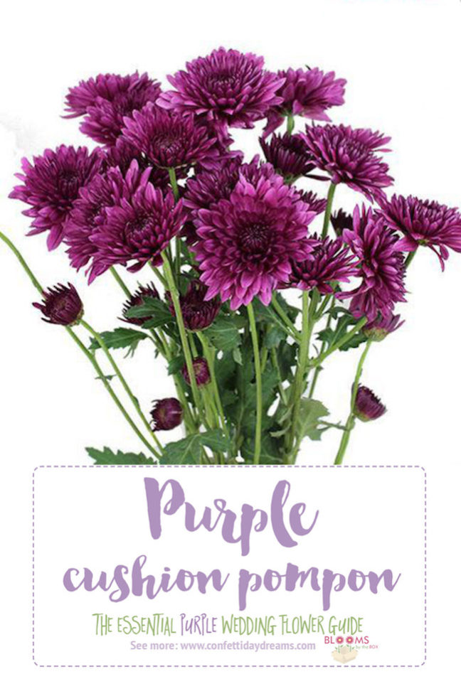 Complete Guide to Purple Wedding Flowers, Purple Flower Names + Pics