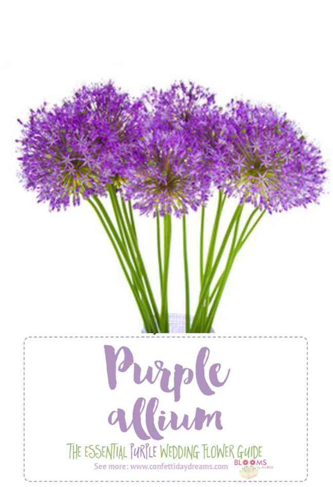 Complete Guide to Purple Wedding Flowers, Purple Flower Names + Pics