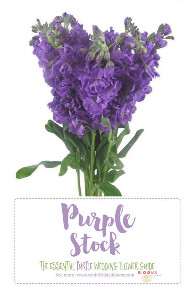 Complete Guide to Purple Wedding Flowers, Purple Flower Names + Pics