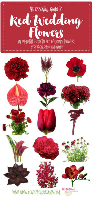 Names and Types of Red Wedding Flowers with Seasons + Pics