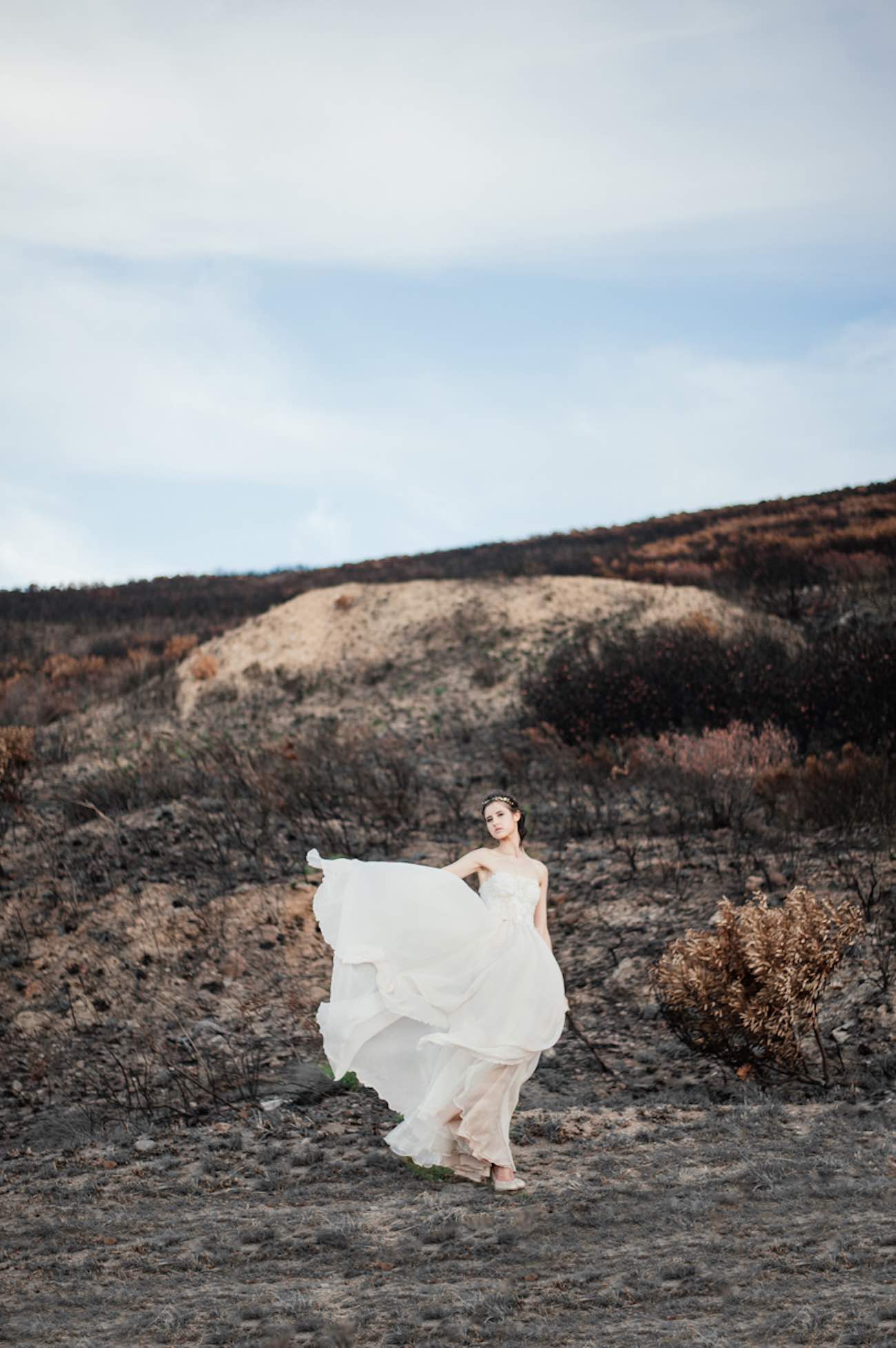 Rising from the ashes into the golden light - Lauren Pretorius Photography