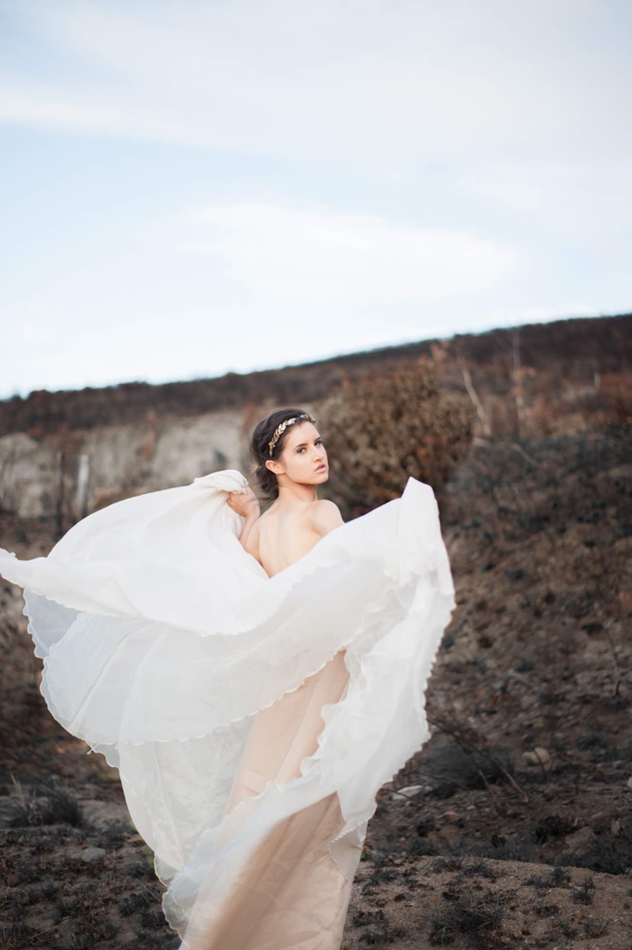 Rising from the ashes into the golden light - Lauren Pretorius Photography