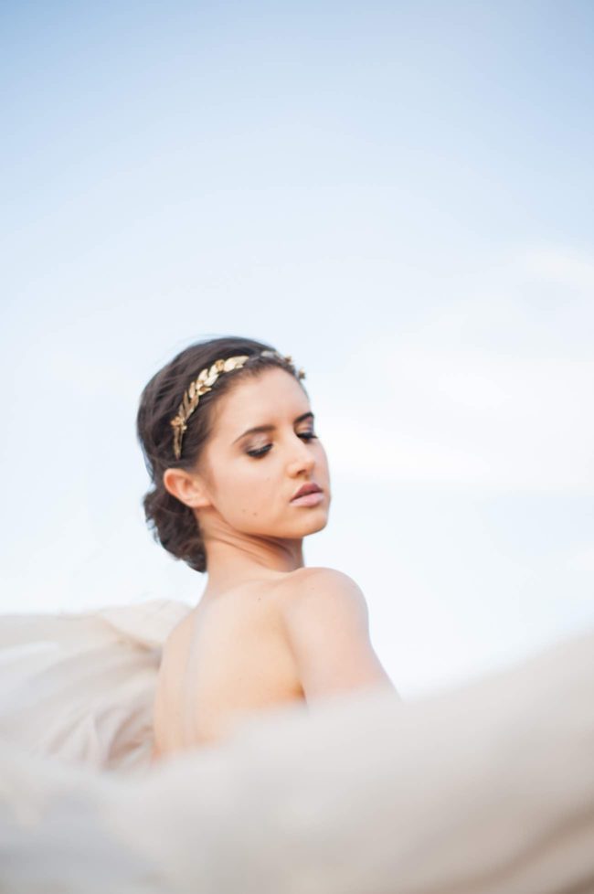 Rising from the ashes into the golden light - Lauren Pretorius Photography