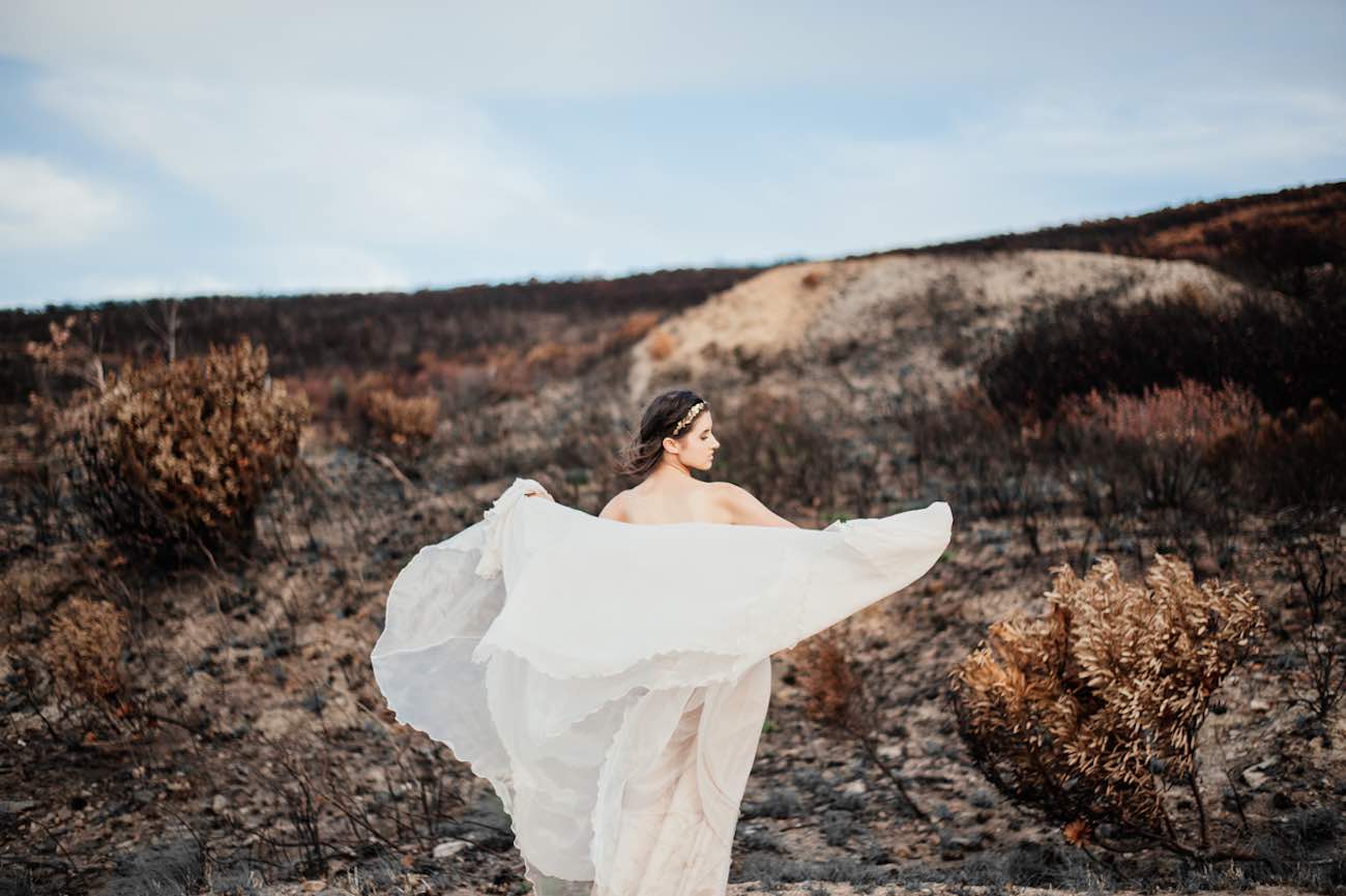 Rising from the ashes into the golden light - Lauren Pretorius Photography