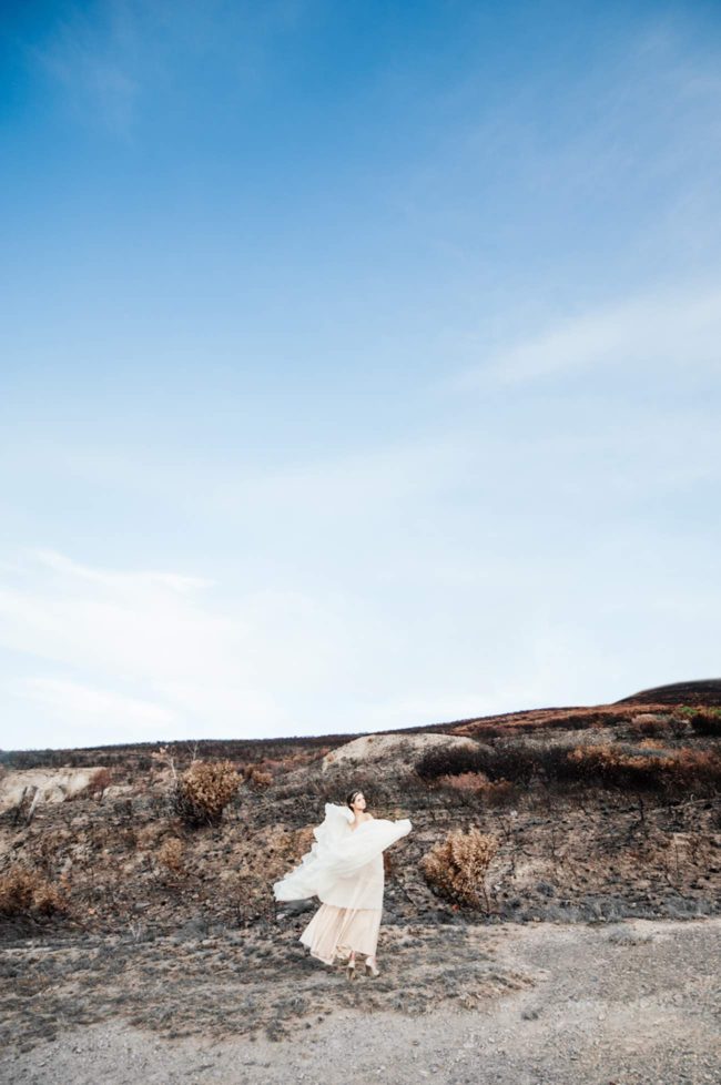 Rising from the ashes into the golden light - Lauren Pretorius Photography