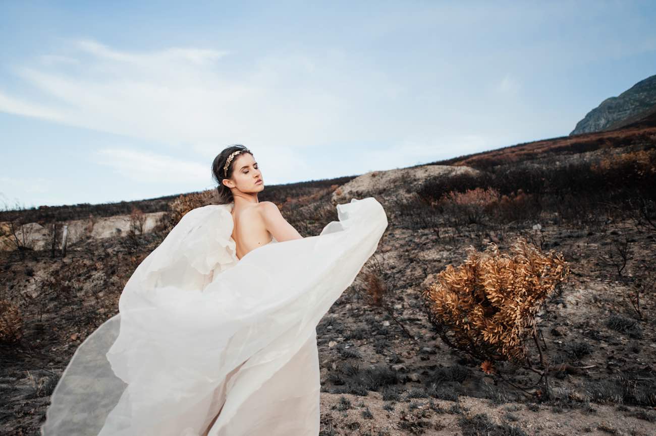 Rising from the ashes into the golden light - Lauren Pretorius Photography