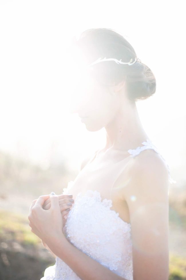 Rising from the ashes into the golden light - Lauren Pretorius Photography