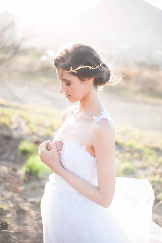 Rising from the ashes into the golden light - Lauren Pretorius Photography