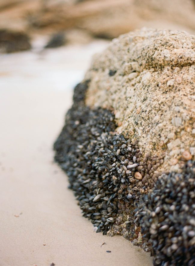 Romantic Cape Town Beach Bride - Emily Katharine Photography