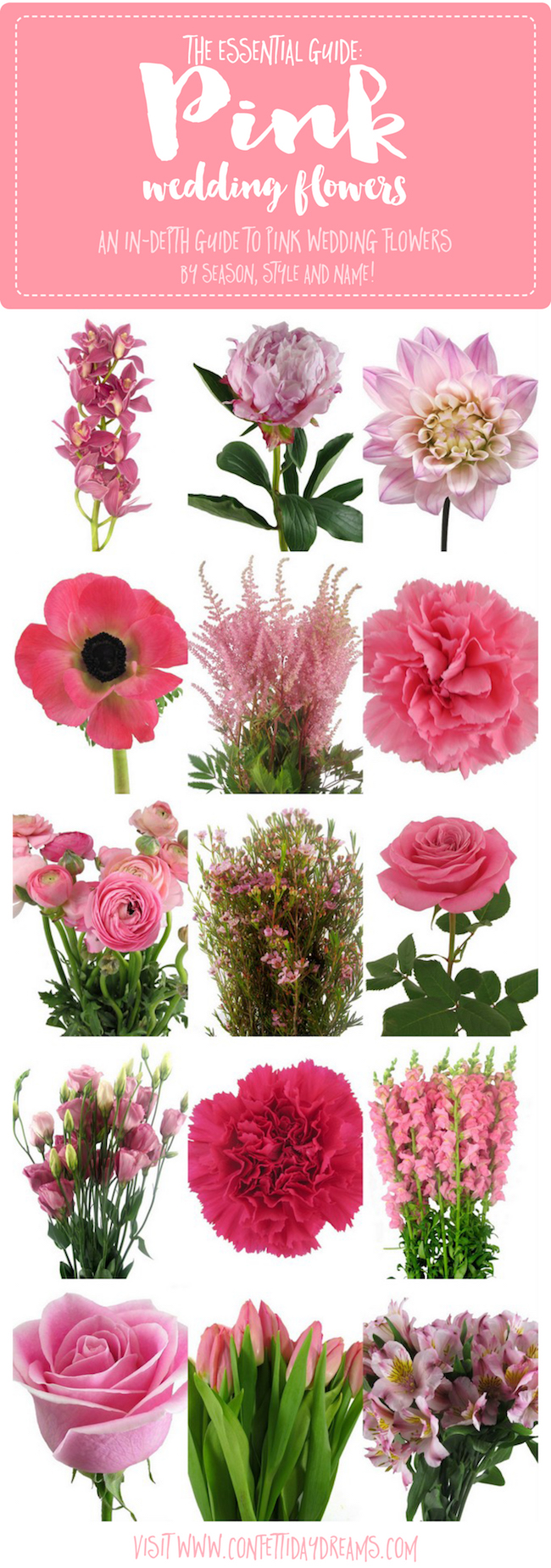 Types of Pink Wedding Flowers Names