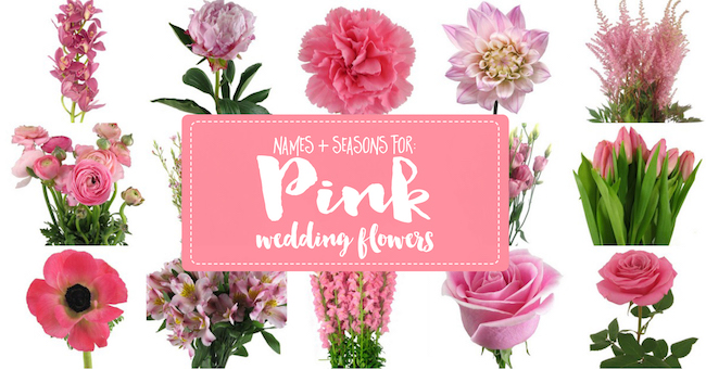 Types of Pink Wedding Flowers Names