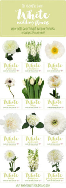 White Wedding Flowers Guide: Types of White Flowers, Names + Pics