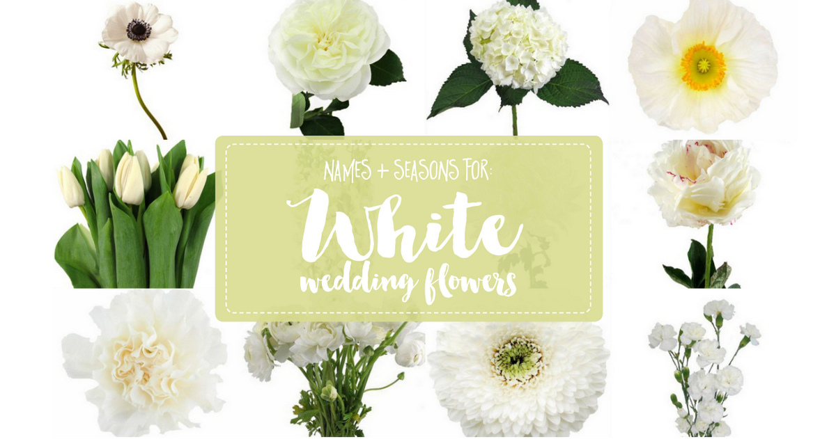 White Wedding Flowers Guide Types Of White Flowers Names Pics