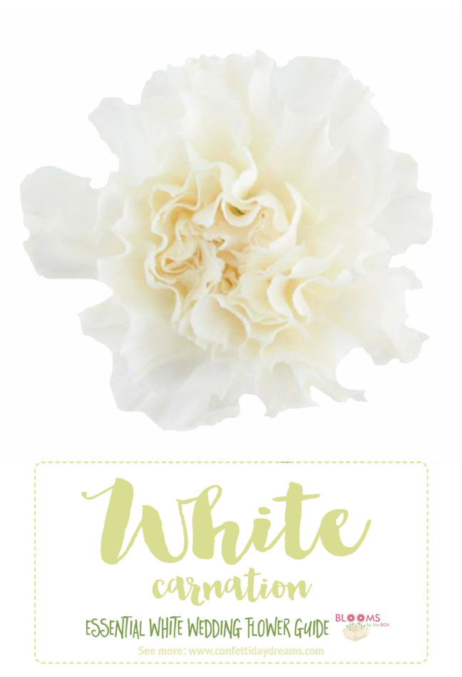 names of white flowers for wedding