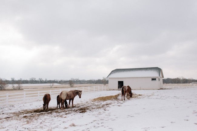 Pink + Lavender Winter Colorado Wedding - Sarah Libby