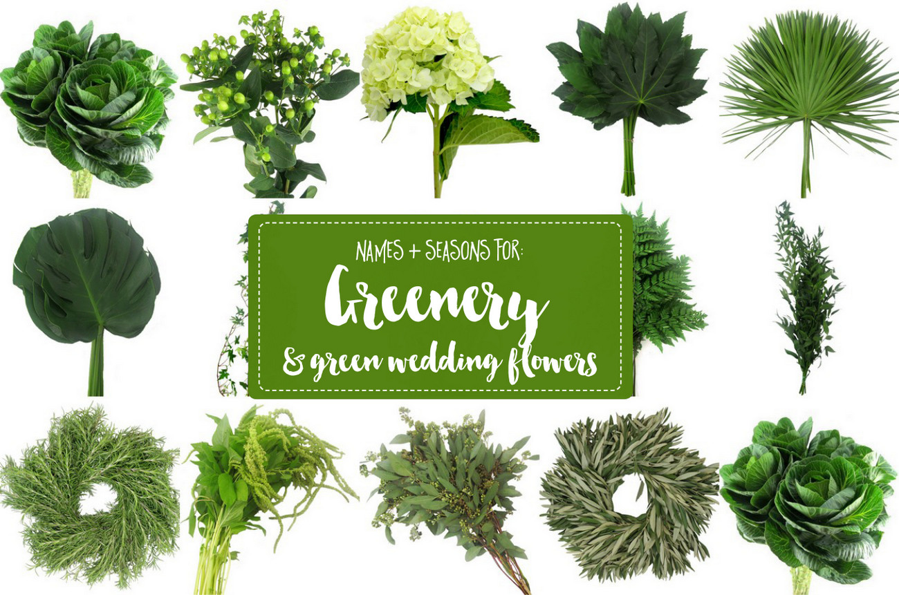 names of green flowers