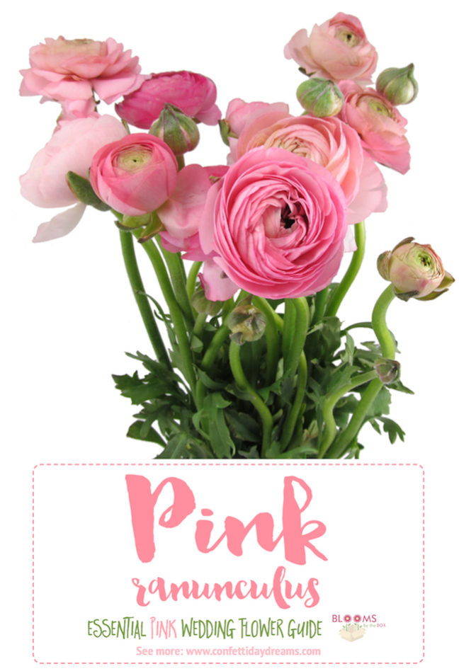 The Essential Pink Wedding Flowers Guide Types of Pink Flowers, Names
