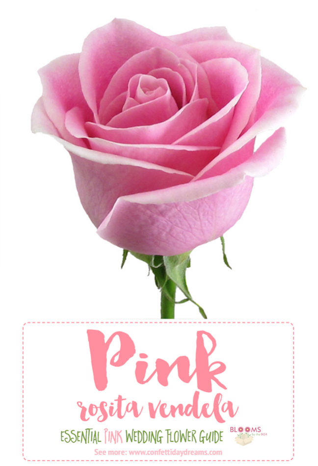 The Essential Pink Wedding Flowers Guide Types of Pink Flowers, Names